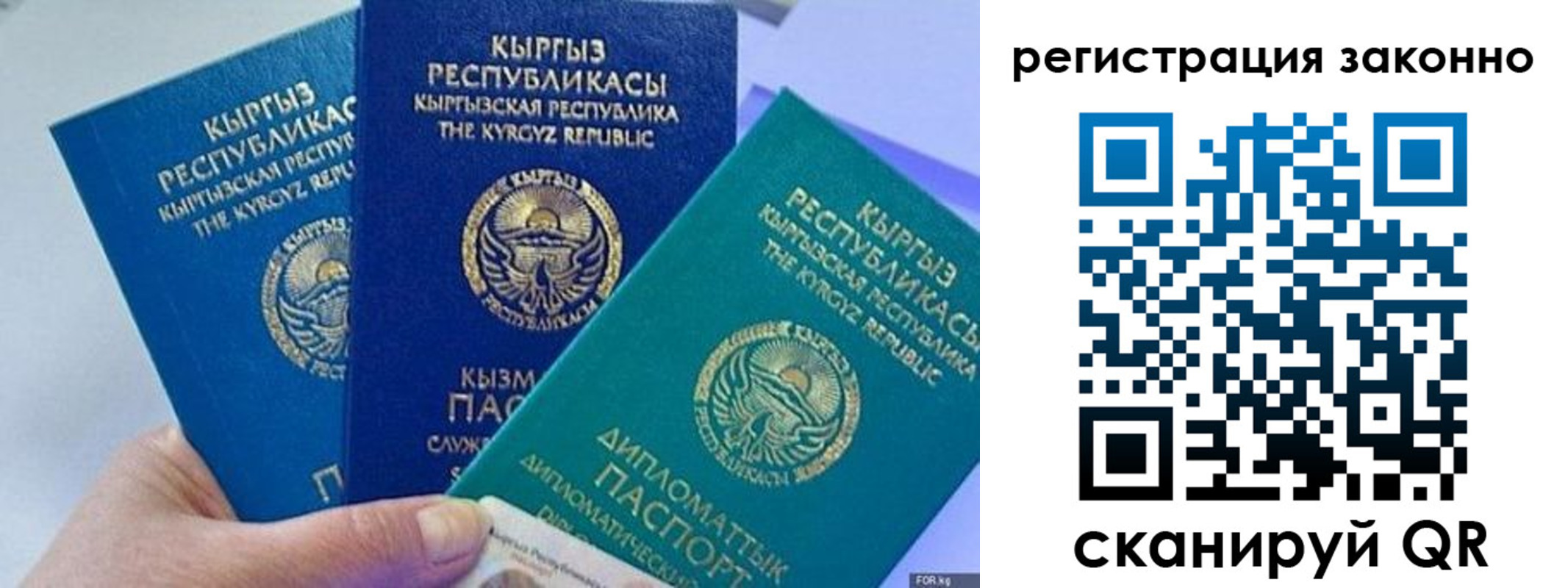 временная регистрация гарантия в Моршанске